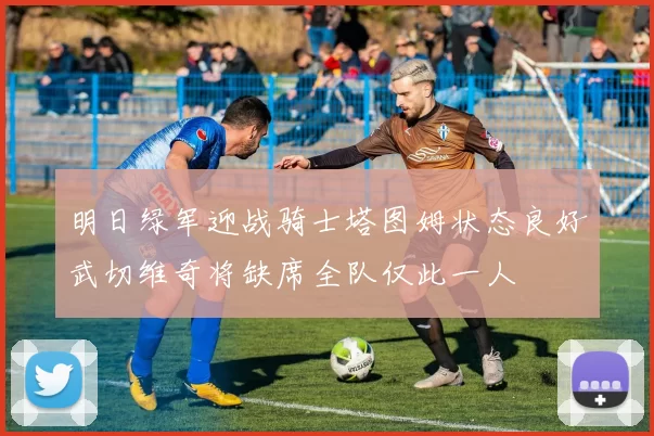 明日绿军迎战骑士塔图姆状态良好武切维奇将缺席全队仅此一人