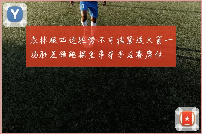 森林狼四连胜势不可挡紧追火箭一场胜差领跑掘金争夺季后赛席位
