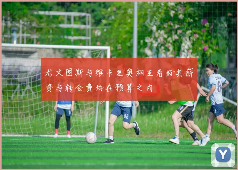 尤文图斯与维卡里奥相互看好其薪资与转会费均在预算之内